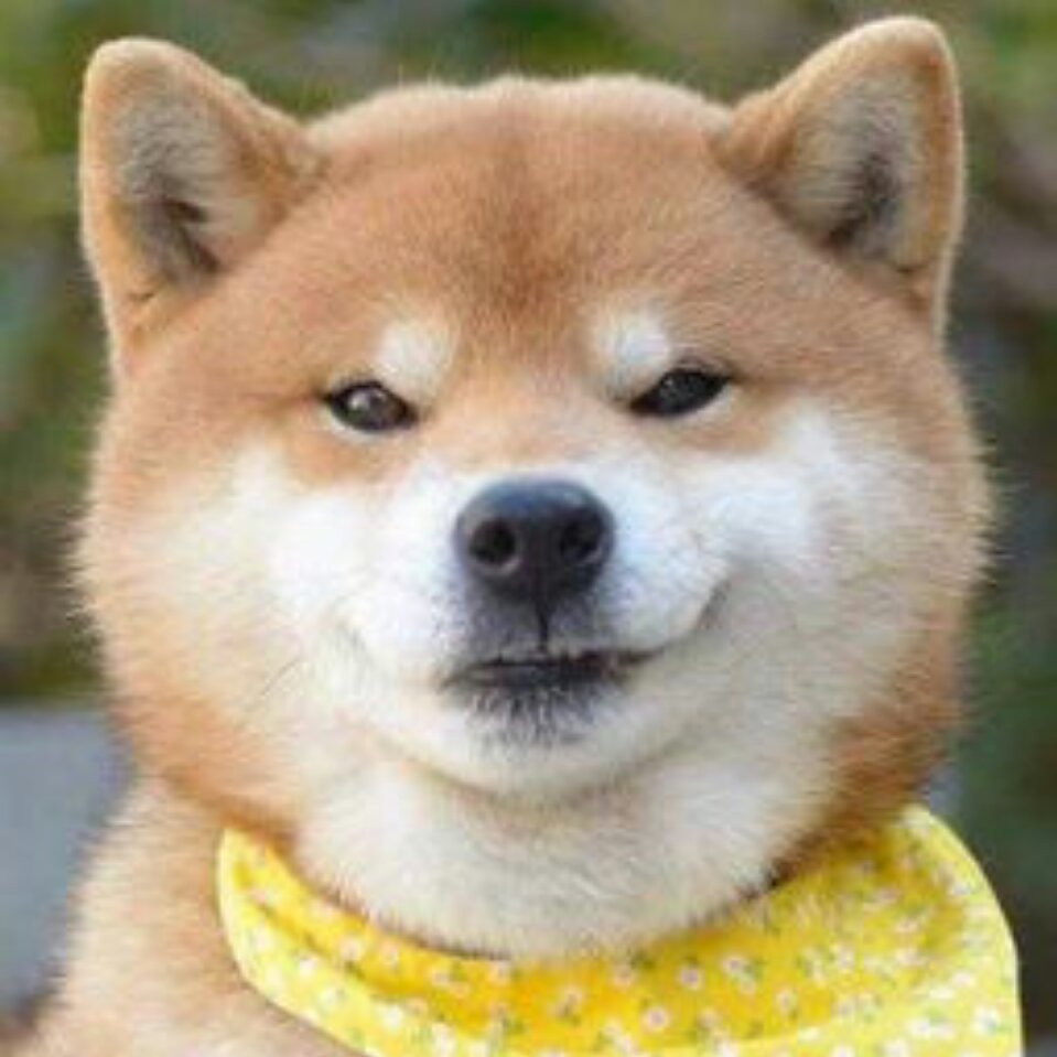 辉