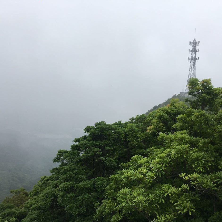 叶剑英风采（老一辈革命家风采）