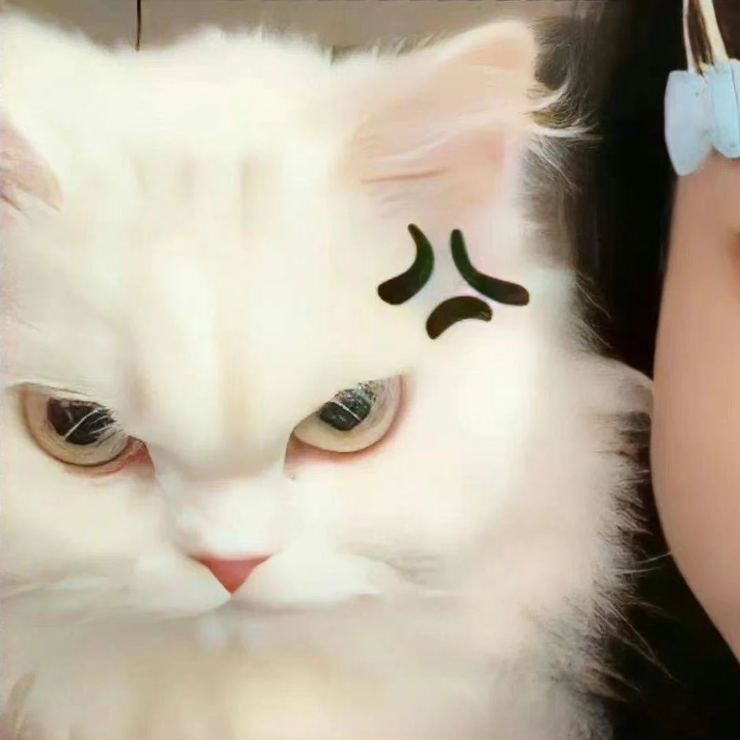 努力打怪兽的人