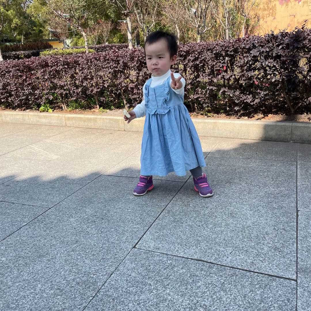 屠夫的眼泪