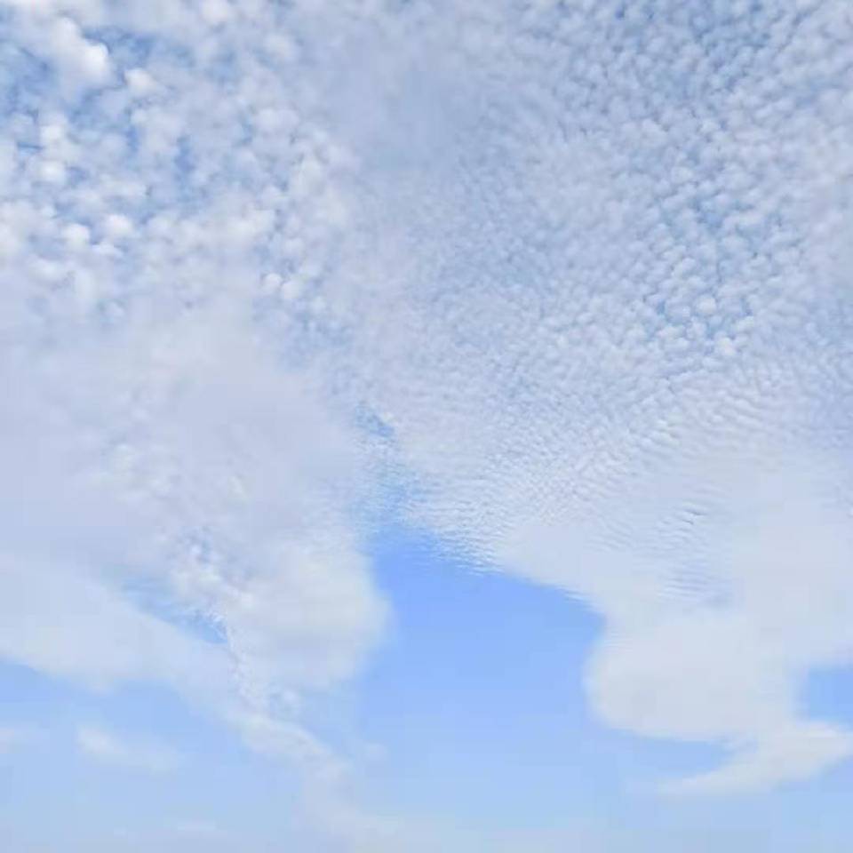 电商-张旭明18666875496