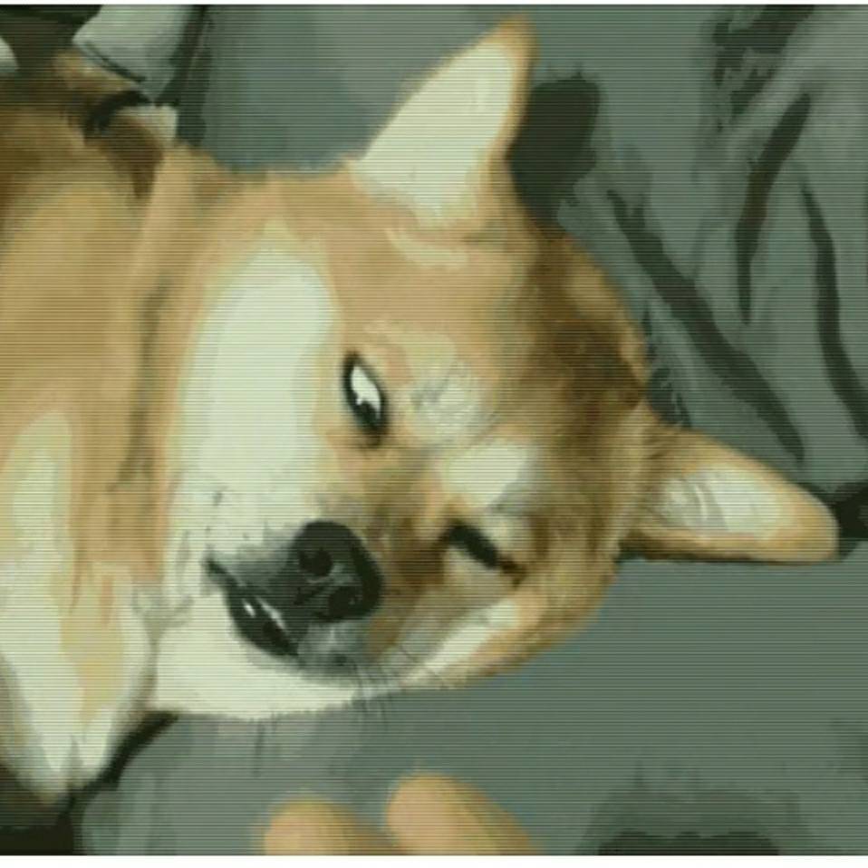 连LED都点不亮的小白~