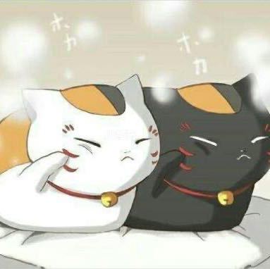 木木