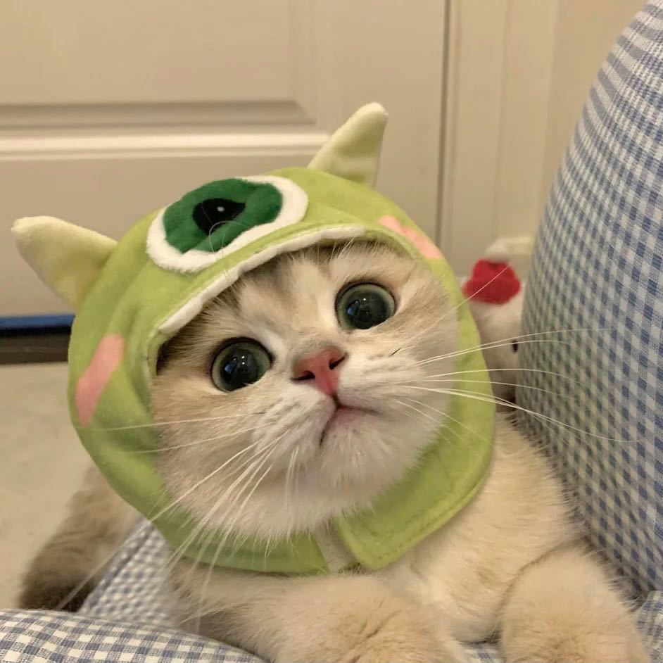 陈健键