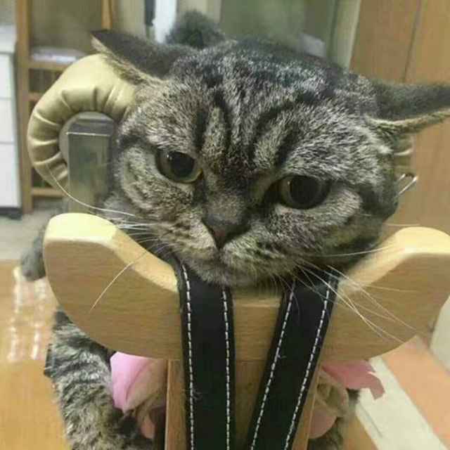 CacakaBa