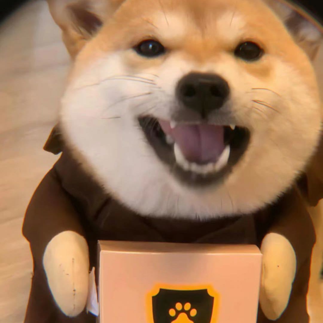 亦 霖          　 ༽