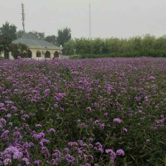 张小建