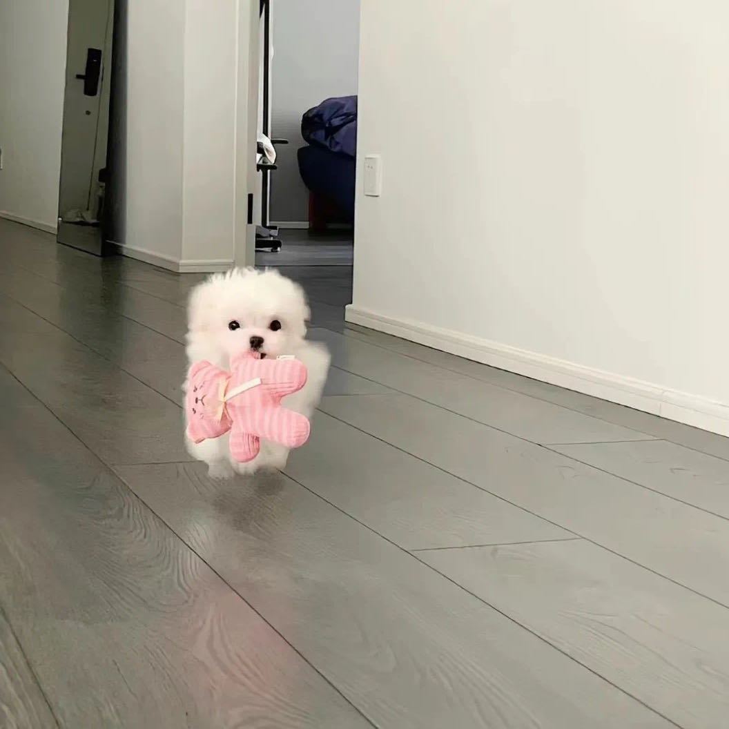 用戶頭像