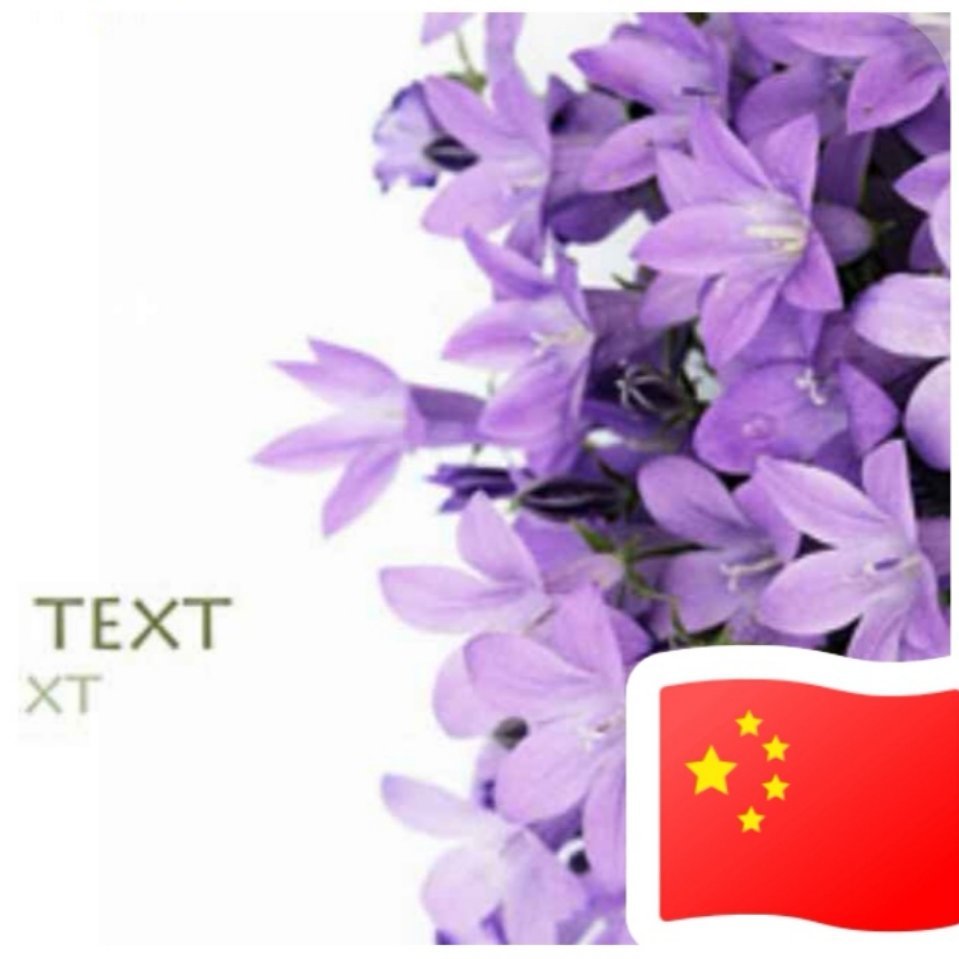 用戶頭像
