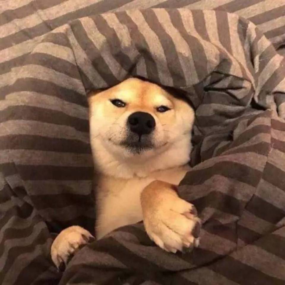 法莱售后 10点到17点