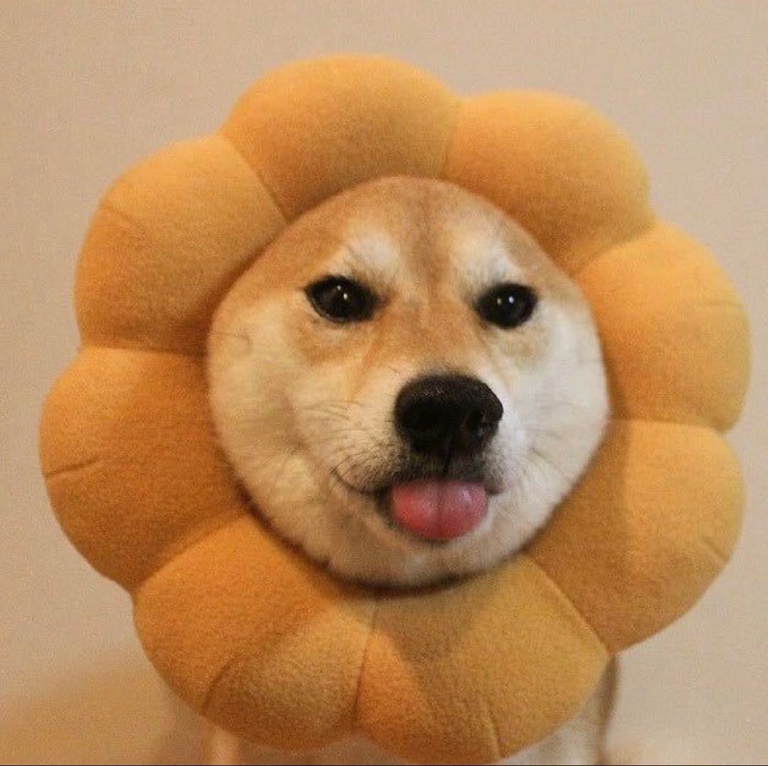 🔅