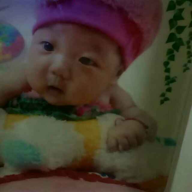 专业。木地板。美缝17719949272