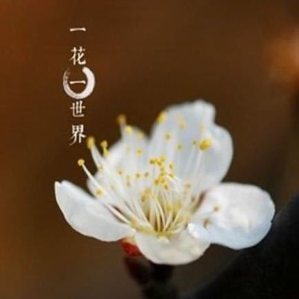 用戶頭像