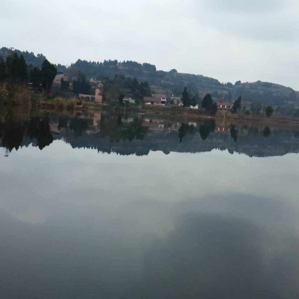 兵兵铁艺15397620238