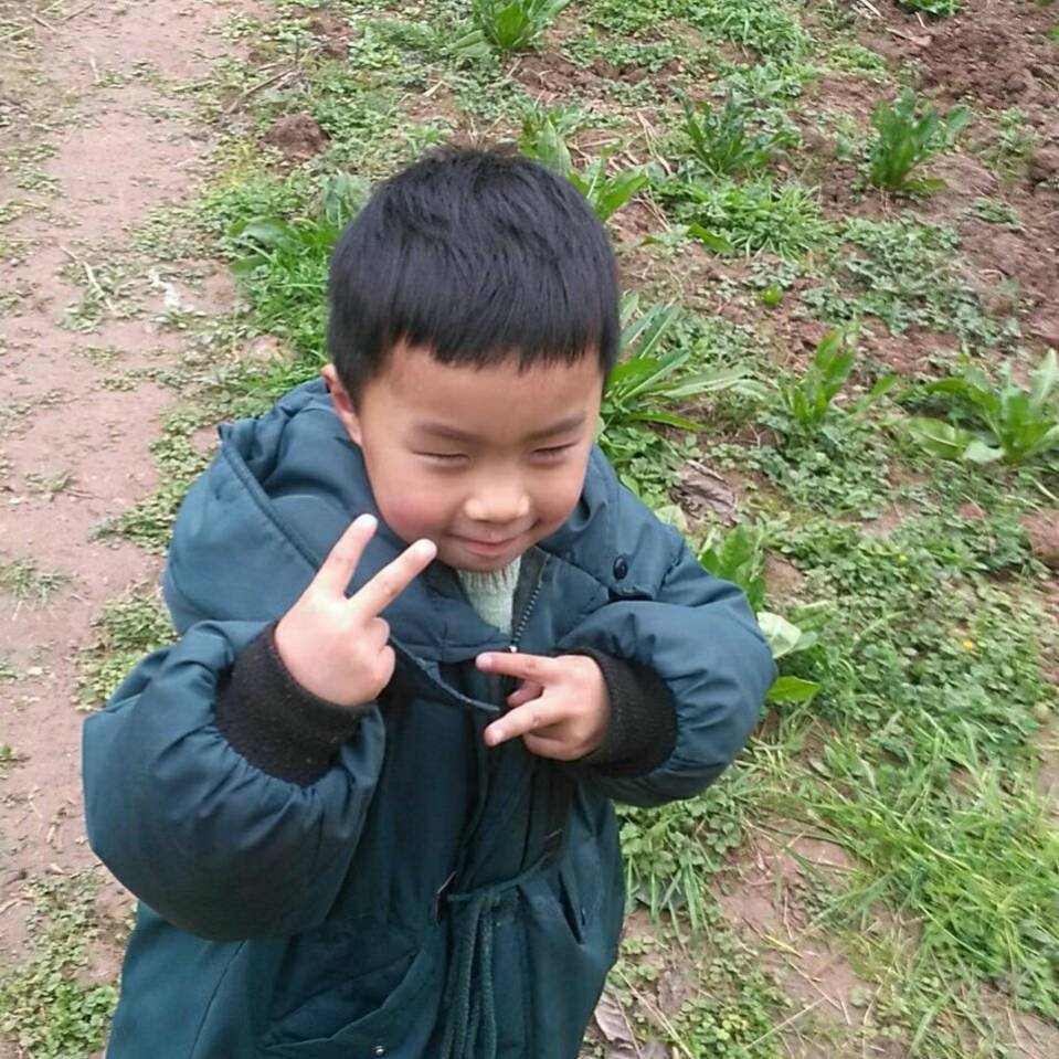 云图李佳18689536557