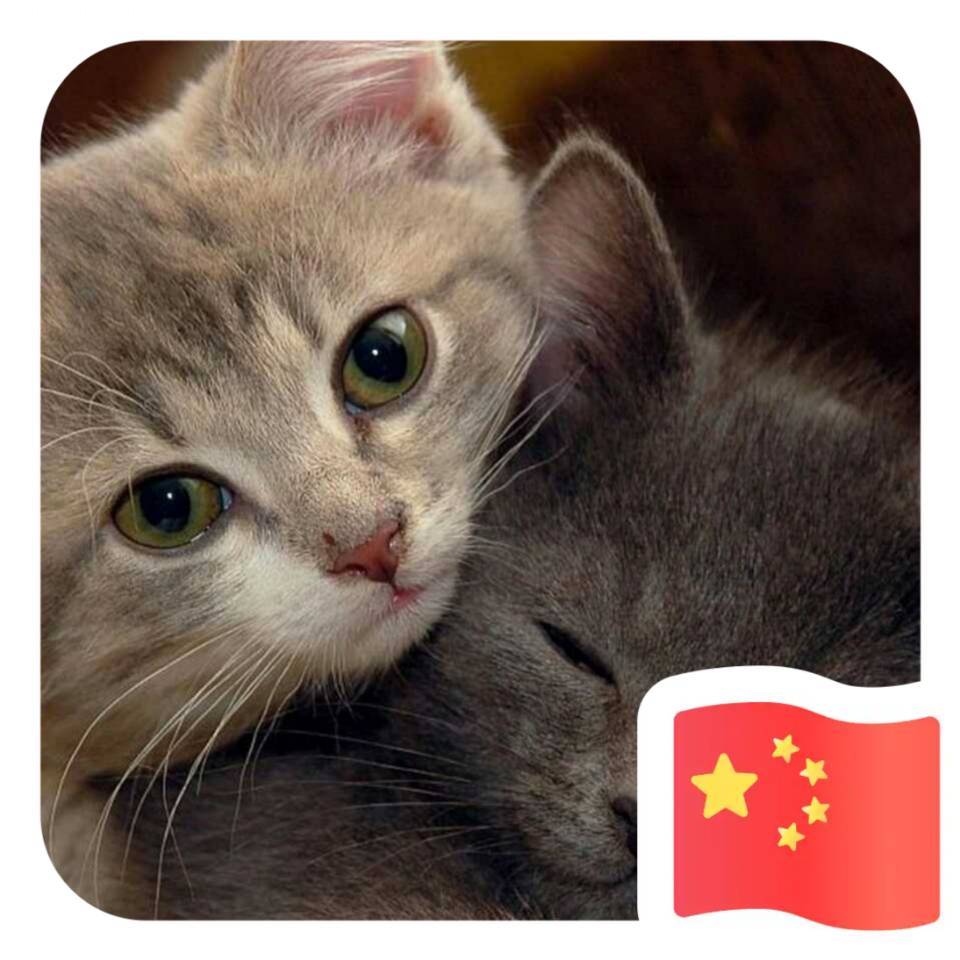 用戶頭像