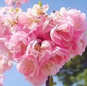钥琪老师助理