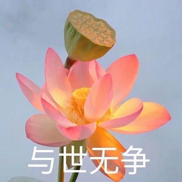 2025。