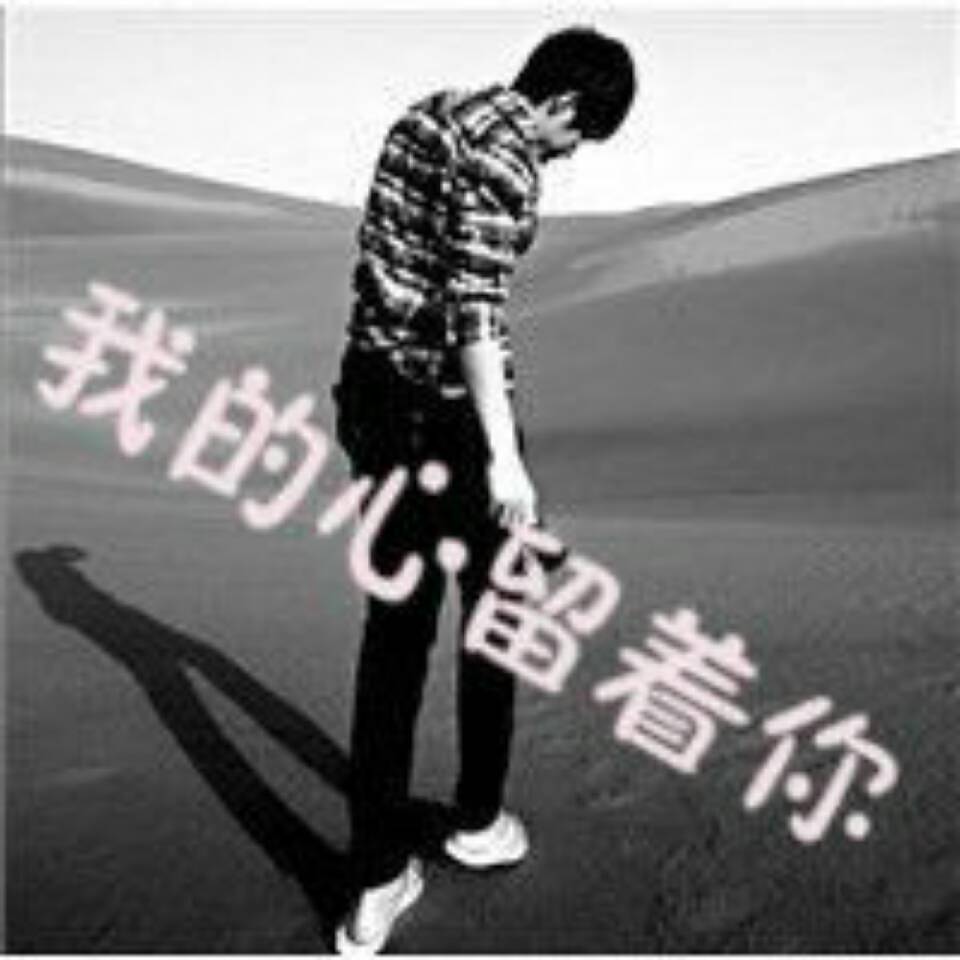 汝峪蜂