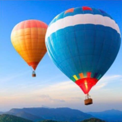 西西 （潘高兰）