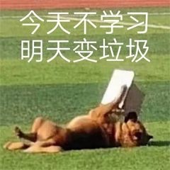 YY