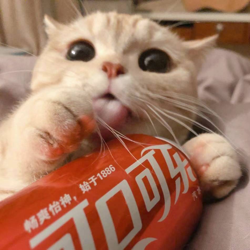 油菜