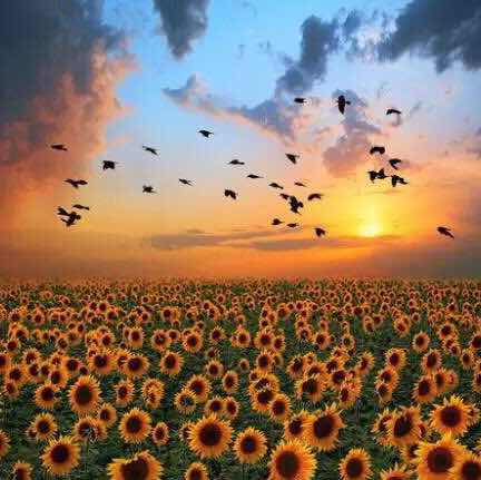 爱之岛超市便利店