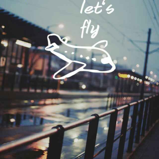 Fly