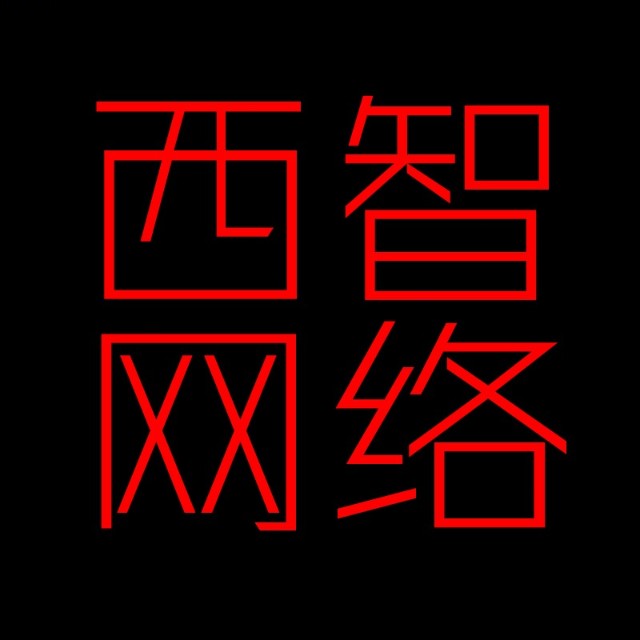 深圳市西智网络科技开发有限公司