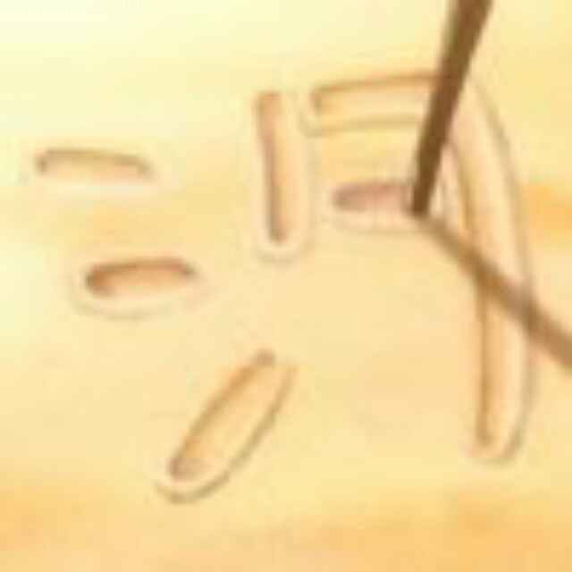 小汐