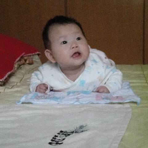 故乡的云