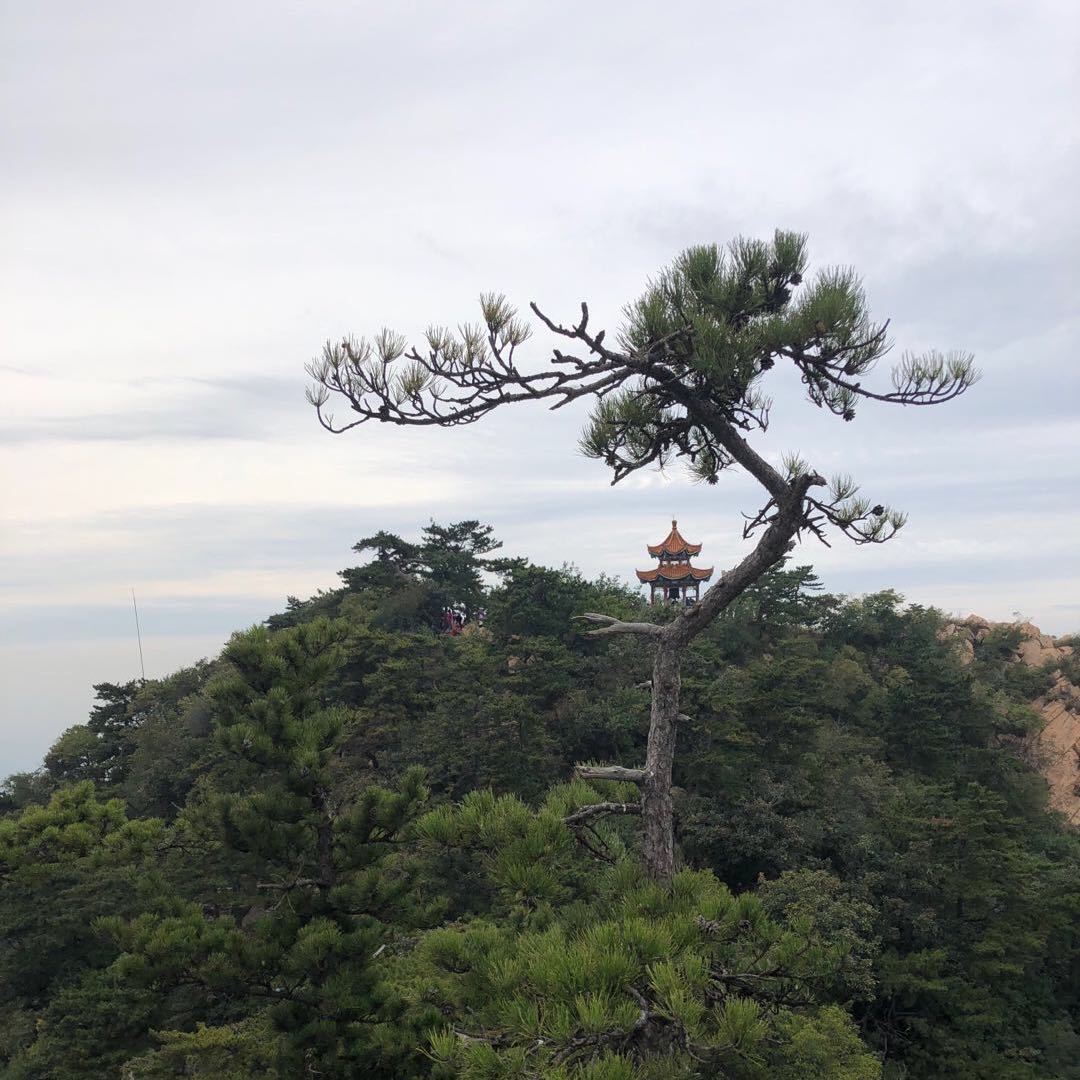 燃情岁月