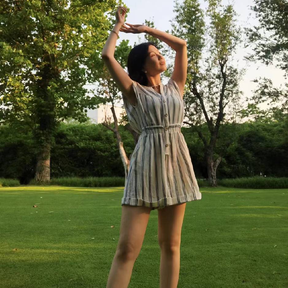 Viola 工作