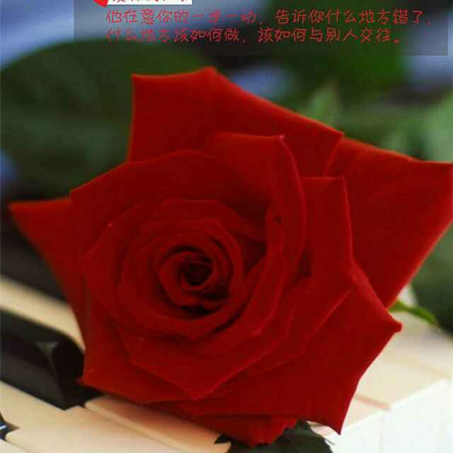 若相惜、必相依