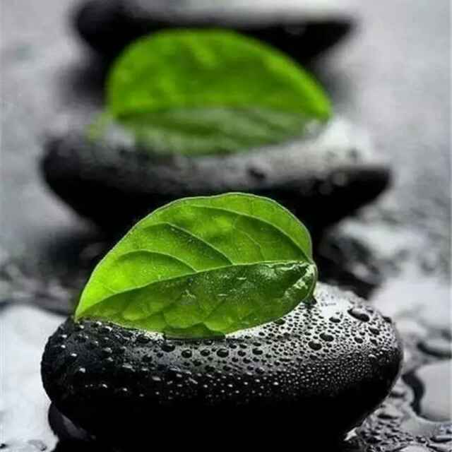 此时此刻