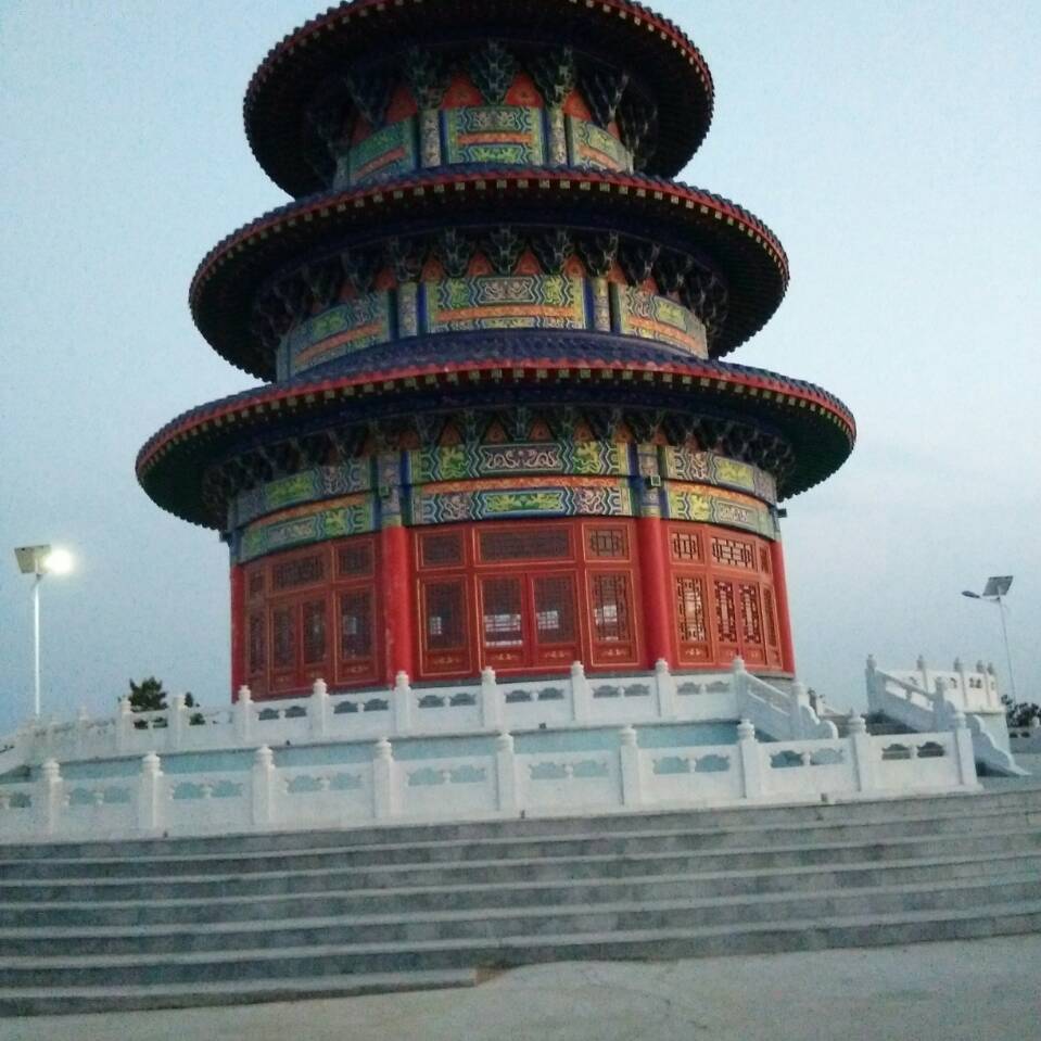 龙在天涯