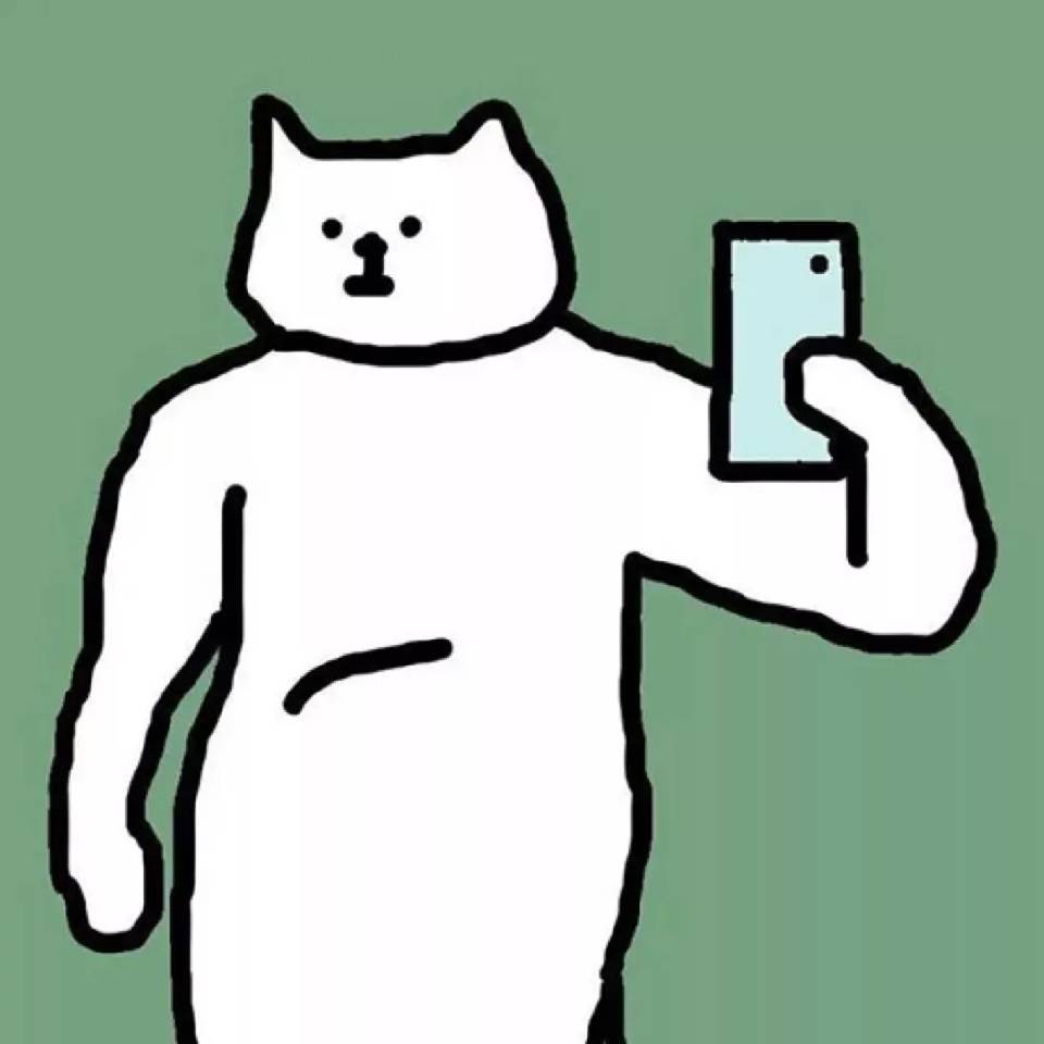 镜子里的假象