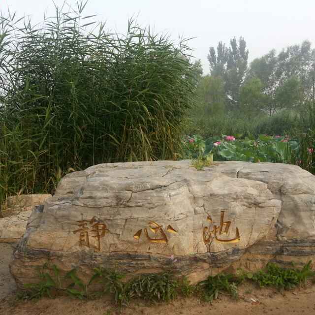 康寿明（康杜）