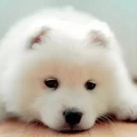 Q⃰ᯤ⁶ᴳ