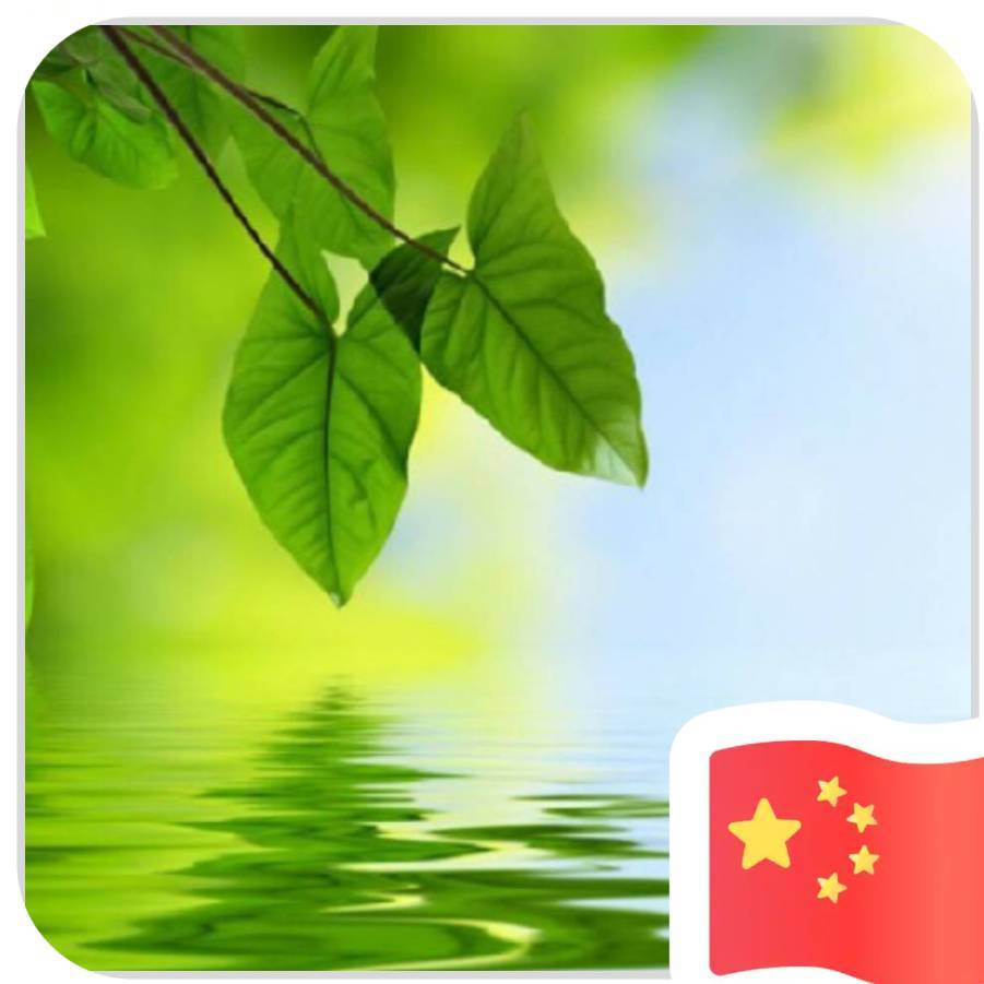 用戶頭像