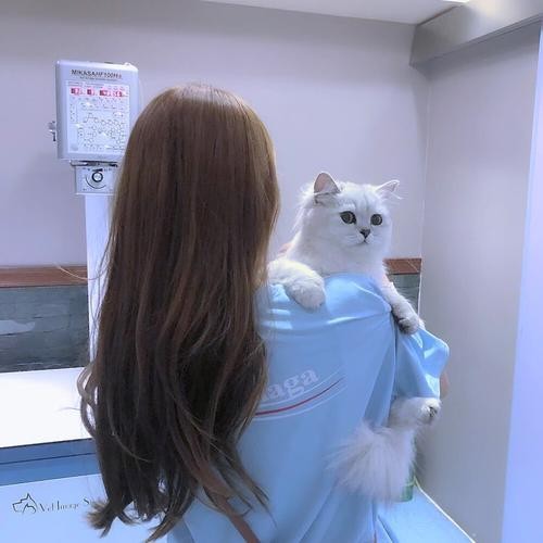用戶頭像
