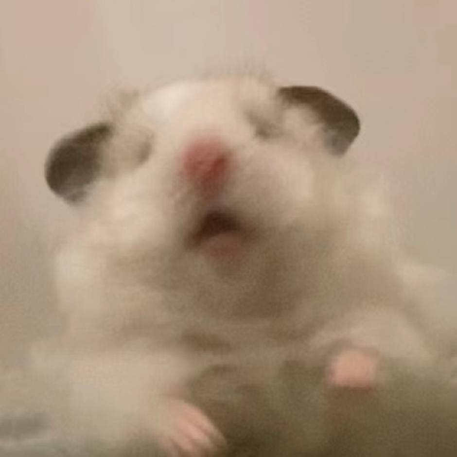 怅惘丨晚10点按时睡觉