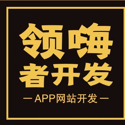 山西领嗨者文化传媒有限公司