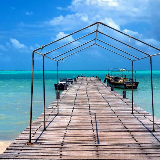 剑胆琴心13932638940