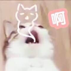 骨头 酱*。٩(´ω`*)و*