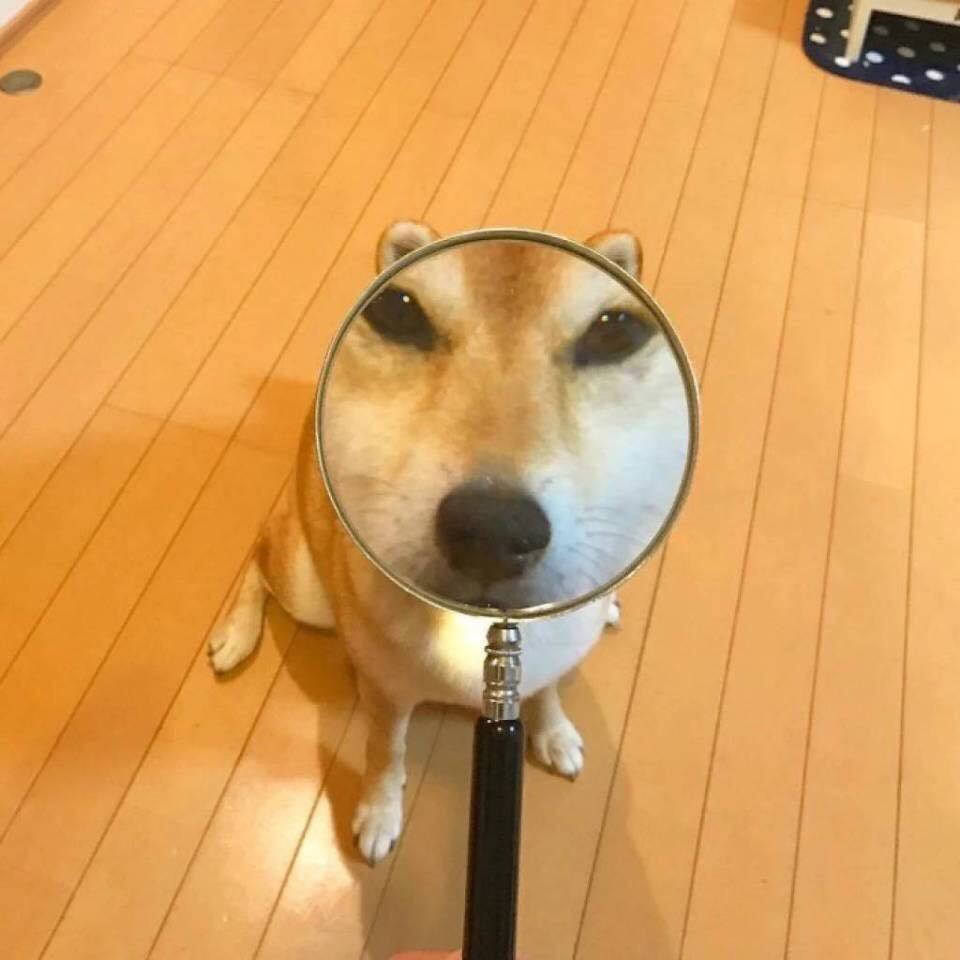 对方正在输入...