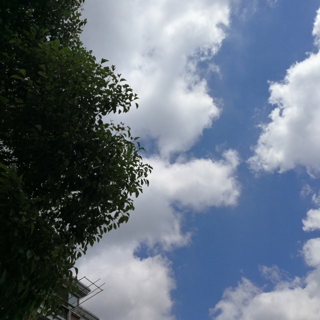 停留的光
