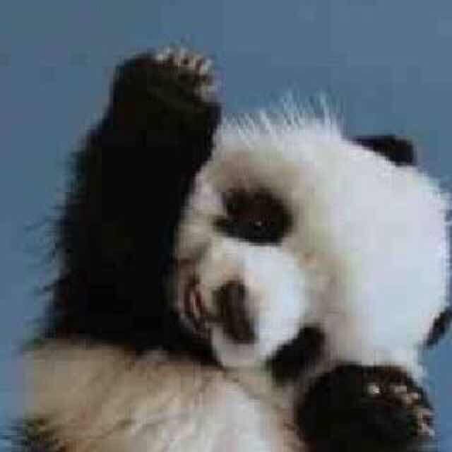 孤独的小螃蟹