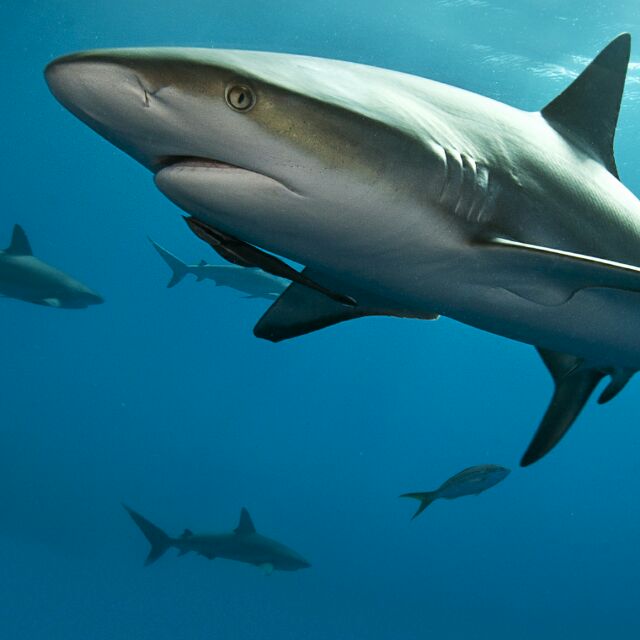 一步迈开万里云