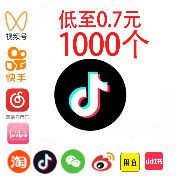 周口市东新区舍我工作室